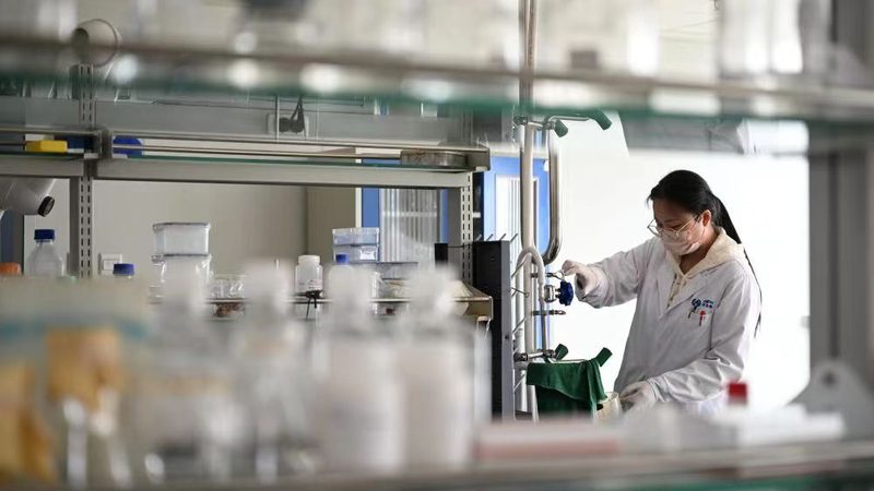 原料药报价单审核流程：确保品质与合规的关键步骤