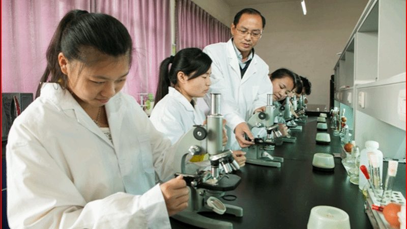 浙江原料药：揭秘原料药分类与规格