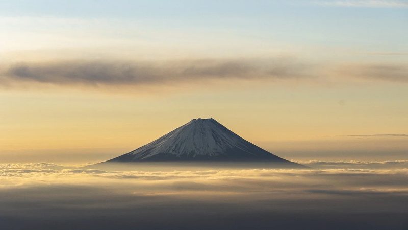 小标题：查证医药公司资质的途径
