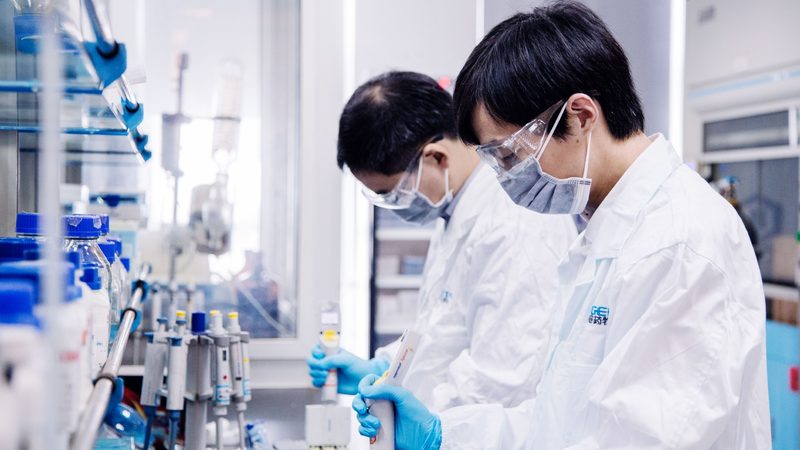 小标题：药用辅料在药品中的作用
