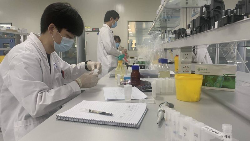 空心胶囊颜色定制，揭秘其背后的专业流程