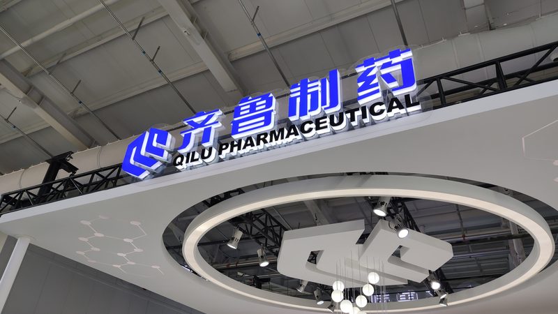 中药材种植基地价格标准：揭秘其背后的影响因素**