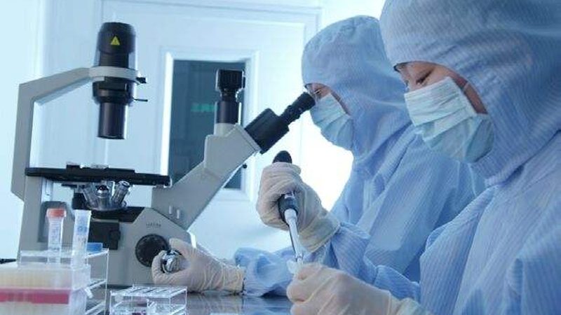 中药材出口报关流程步骤详解
