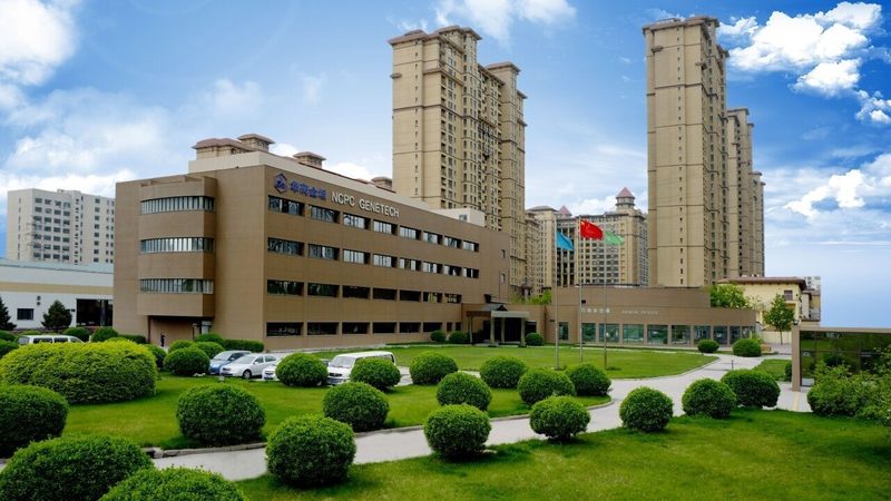 广州医药批发市场代理条件：合规与发展的双重考量